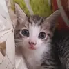 Leonard Bowen - @leonard.bowen - TikTok