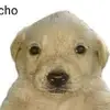 Leo - @leonardxbox - TikTok