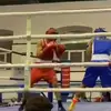 Leonard_boxing - @leonard_boxing - TikTok