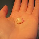 Leonard Bruce - @leonardbruce - Instagram