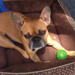 Buttersworth - @leonardbuttersworth - Instagram