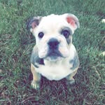 Leonard And Cash - @leonard_cash_ - Instagram