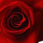 Lenard Cooley - @lenardcooley63 - Instagram