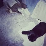 leon grimm - @leonard_crafter - Instagram