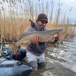 Leonard Cristea - @cristea.leonard - Instagram