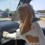 Leonard Crowell - @crowellleonard - Instagram