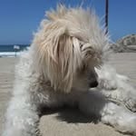 Leonard Crowley - @crowleyleonard - Instagram