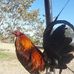 Leonard Cuevas - Facebook