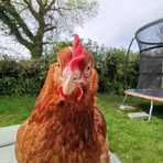 Leonard Dowling - Facebook
