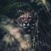 Leonard Finch - Facebook