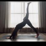 Nancy Leonard-Fischer - @twistedyogii - Instagram