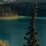 Leonard Flood - @golden65.83 - Instagram