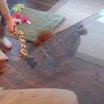 Leonard Gallant - @leonard.gallant - Instagram