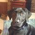 Leonard Garner - Facebook