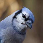Leonard Garrison - @lrgarrison753 - Instagram