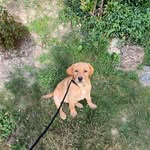 Leonard Gibbons - @len__gibbons - Instagram