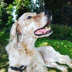 Léonard FLG - @leonard_goodboy - Instagram