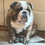 Patti Leonard Gorman - @pmg0125 - Instagram