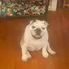 Patti Leonard Gorman - @ppevans - TikTok
