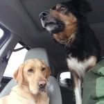 leonard gott - @leonard.gott - Instagram