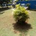 Leonard Guthrie - Facebook