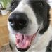 Lennart Herlin - Facebook