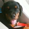 leonardheckerman - @leonardheckerman - TikTok