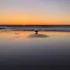 leonardhelms - @leo.helms - TikTok