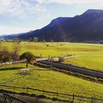 Leonard Herrmann - @leonard_herrmann_ - Instagram