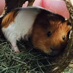 Leonard Heß - @dataleonard - Instagram