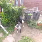 Leonard Hinton - @leonardhinton6 - Instagram