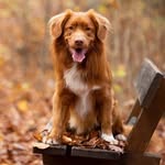 Leonard von Hirschberg - @leonard_von_hirschberg - Instagram