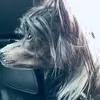Leonard Vestholm - @leonardvestholm - TikTok