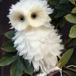 Leonarda - @leonardajhurley - Instagram