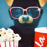 iverson leonardo Orozco - @iversonleonardo - Instagram