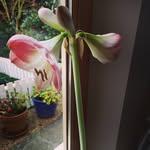 Leonard Kaye - @leonardkaye1 - Instagram