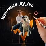 Leonard Kern WWK Versicherungen - @insurance_by_leo - Instagram