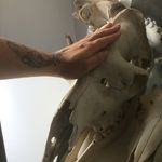 Léonard Legrand - @inkyshane - Instagram
