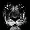 leonardleonidas34 - @leonardleonidas34 - TikTok