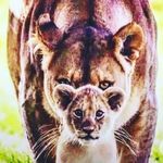 A.Kevin Leonard Lincoln - @a.kevinleonard - Instagram
