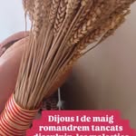 Leonard Linn - @zonaidcodes - Instagram