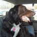 Lloyd Leonard - Facebook