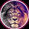LEO🦁 - @leo_nard777 - TikTok