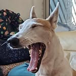 Leonard Low - @leo5513 - Instagram