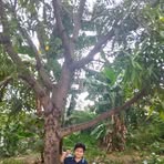 Lester Leonardo - Facebook