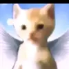 Leonard Malcom - @leonardmalcom_3698 - TikTok