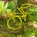 Leonard Mann - Facebook