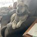 Leonard Mattson - Facebook