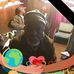 Leonard Mcclain - Facebook