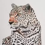 Leonard McClure - @leonardmcclureart - Instagram